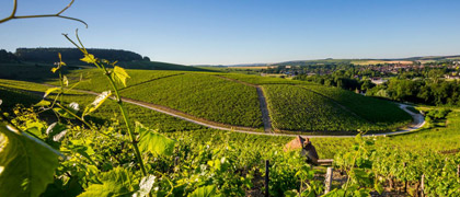 Laboratoire oenologique à Chablis